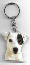 Jack RUSSEL CHIEN PORTE CLES /