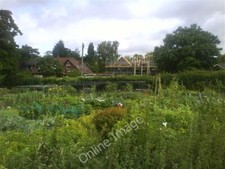 Photo 6x4 The Slype Blackmore End/TL1616 Allotments and Housing on The S c2009