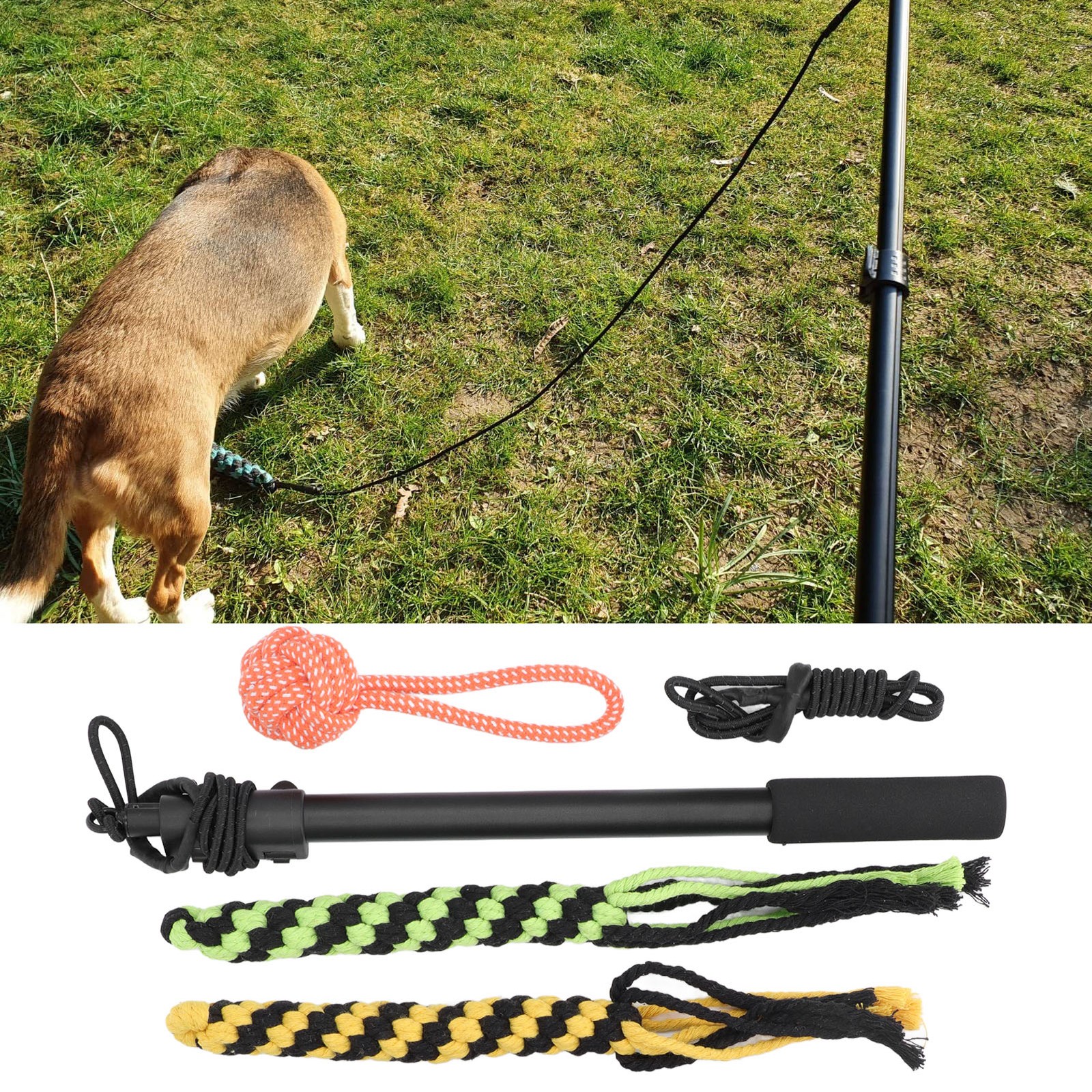 Flirt Pole Toy Multipurpose Retractable Training Interactive Toy Flirt Pole For