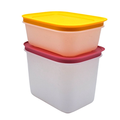 Tupperware Freezer Mates Plus Container Starter Set 4.75 Cup and 1.75 Cup