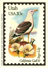 Utah State Bird California Gull State Flower Sego Lily
