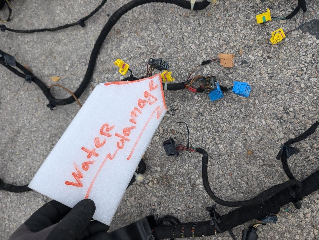 Body Wiring Harness (For Pigtails) 2005 Bentley Continental GT 03-10 For Parts X