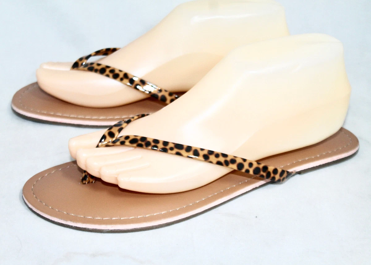 Tortoise flip flops hot sale