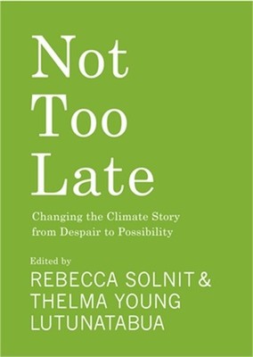 Not Too Late: Changing the Climate Story from Despair to Possibility (Paperback