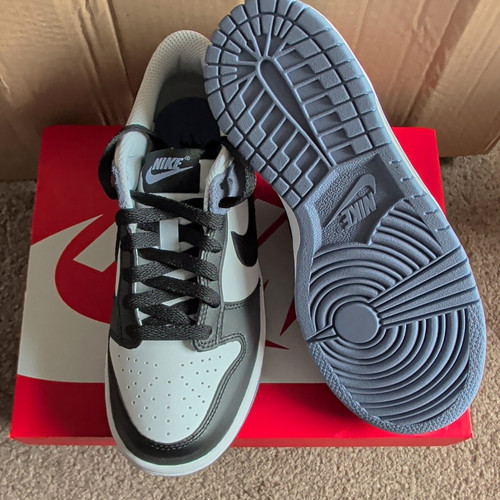 Nike Dunk Low ESS+ (GS) Trainers UK 4.5 EU 37.5 IQ2755-103