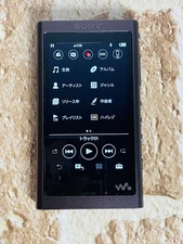 Sony NW-A55 Grayish Black Walkman Digital Audio Player Hi-Res Used