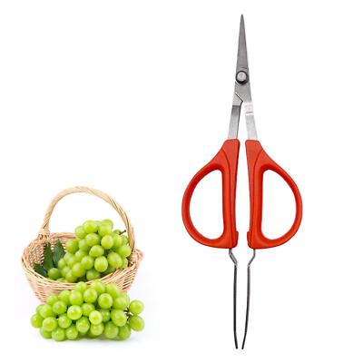 Gartenschere Bonsai Haushalt Handheld Trimmen Deadheading mit Pinzette |  eBay.de