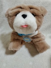 wrinkles my kissing puppy