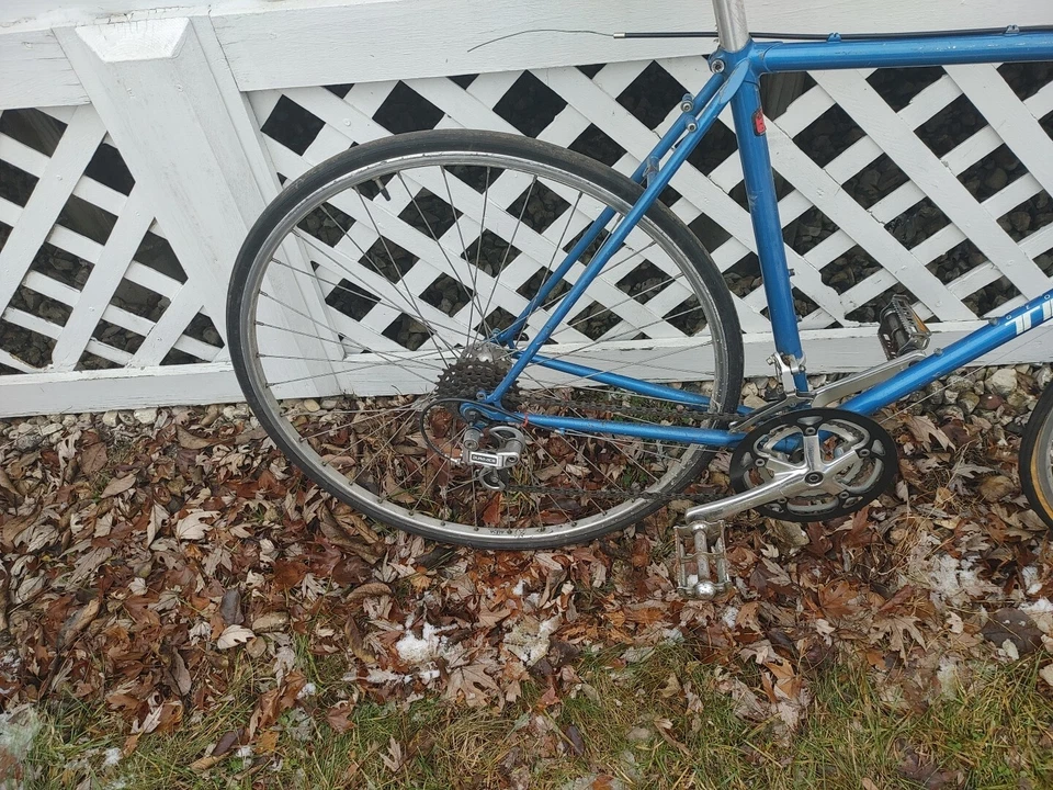 Bicicleta de Carretera Terry Mujer Años 80 De Colección ¡TERRY ¡ENVÍO! Talla 52cm Dura-Ace Foto 2 de 4
