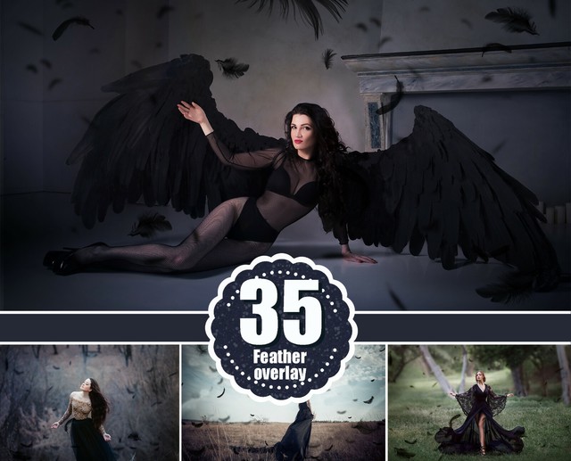 35 Black Feather Overlays photoshop overlays Angel Feather Photo Overlays png 35 Black Feather Overlays photoshop overlays Angel Feather Photo Overlays png