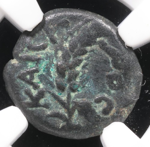 Marcus Ambibulus AE Prutah Governors Of Judaea Bronze Coin 9-12 AD • NGC Genuine