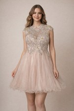 Jovani Blush Pink Embroidered Lace  Beaded Cocktail  Dress Size 16  Tulle Prom