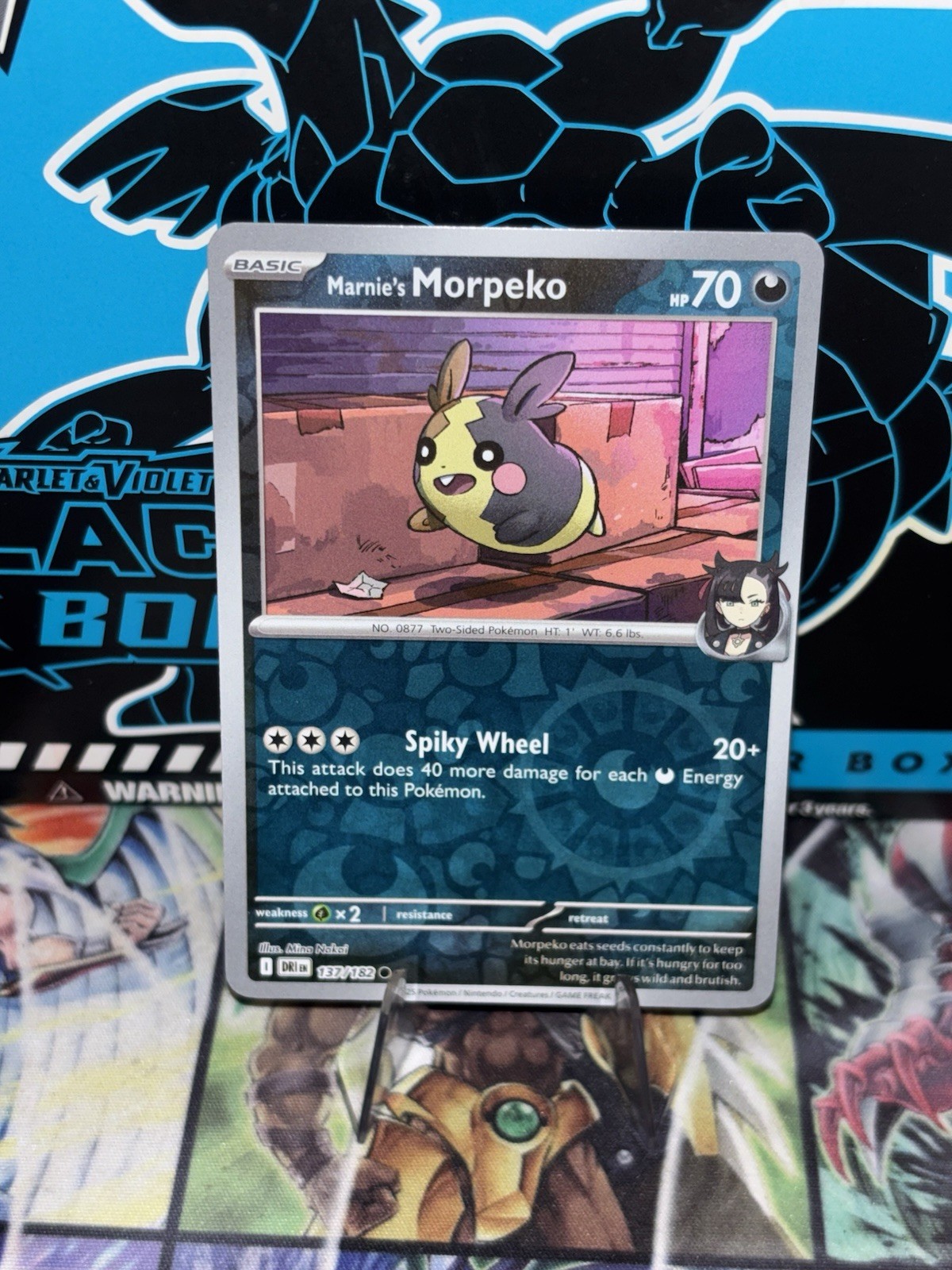 Marnie's Morpeko 137/182 Sv10: Destined Rivals Reverse Holo
