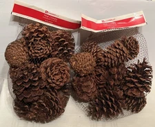 2 Essential Home Pine Cone Cinnamon Scent Bags 6 Dry Quarts Each Christmas