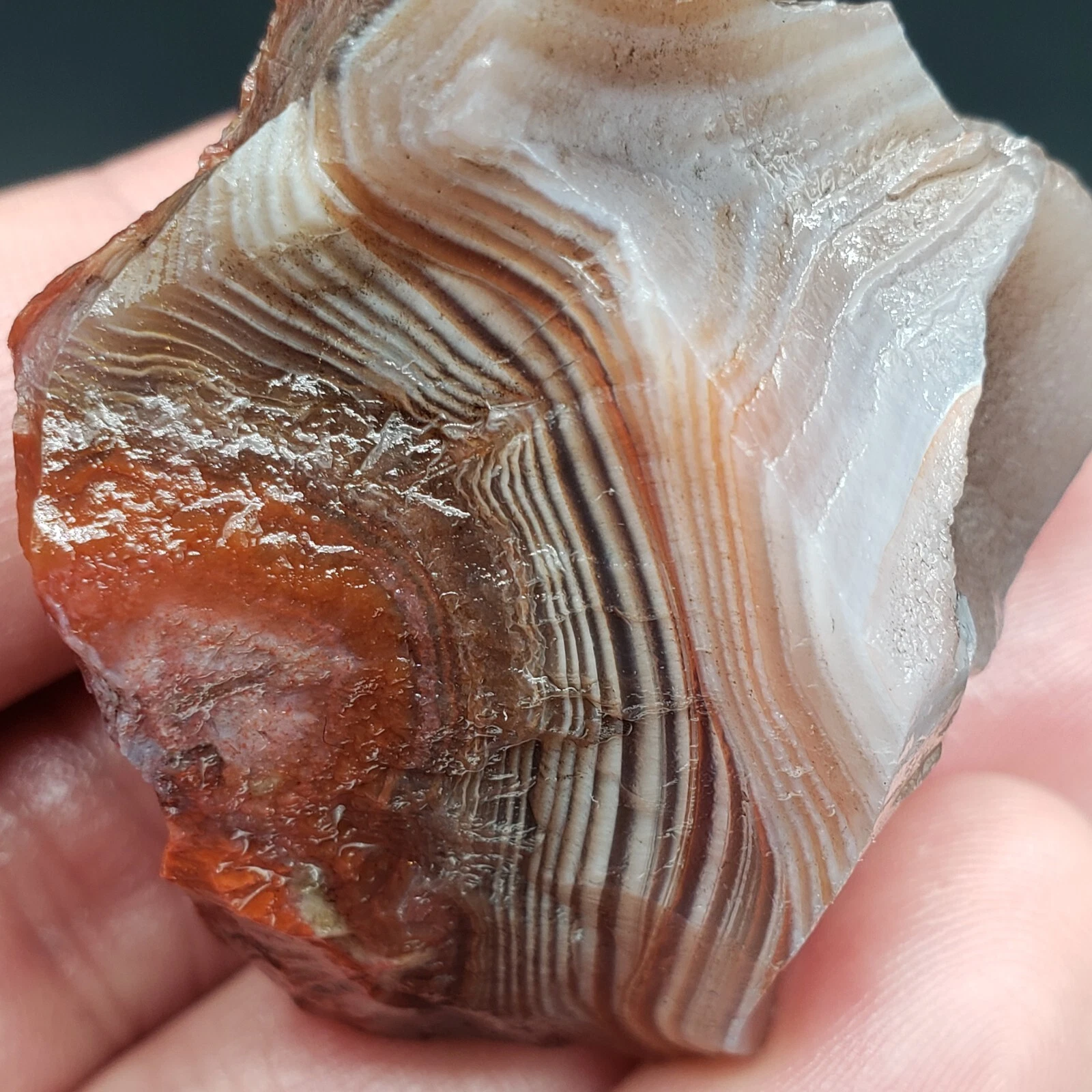 1.80 OZ BOLD WICKED PEELER LAKE SUPERIOR AGATE GEMSTONE