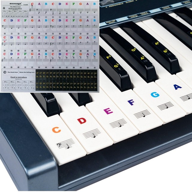 Beginner Music Keyboard Piano Stickers 88/61/54/49/37 Keys Set Colorful Beginner Music Keyboard Piano Stickers 88/61/54/49/37 Keys Set Colorful
