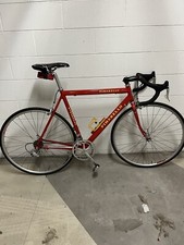 bicicletta uomo usata