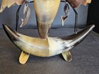 Carved Horn Art Birds and Fish — photo 10