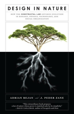 Design in Nature | Adrian Bejan (u. a.) | Englisch | Taschenbuch | 2013