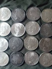 Peace Silver Dollar Lot 16 Coins