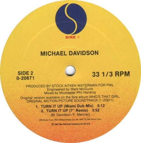 Michael Davidson - Turn It Up (VINYL) - Bild 4 von 6