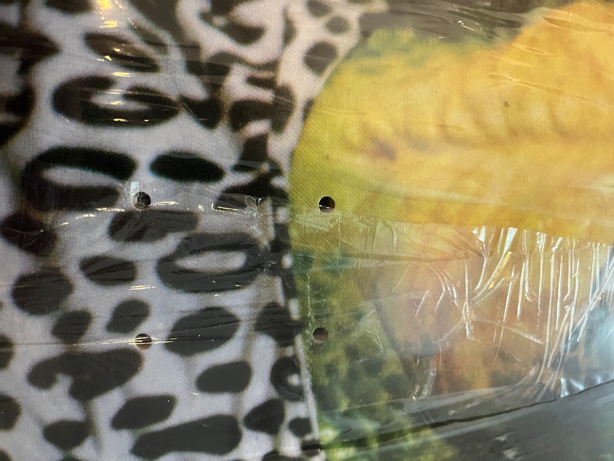 Supreme Gremlins Skateboard Deck Greta FW22 New Sealed - Some