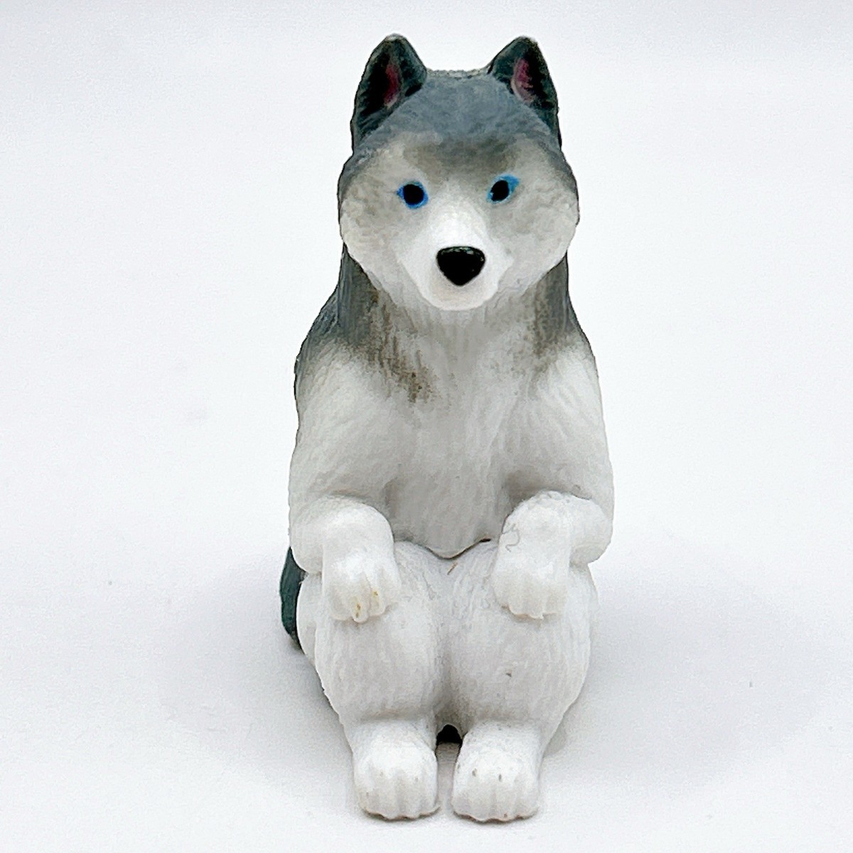 siberian husky CD4枚 Mr.Z&JXK 1/6 Siberian Husky 2.0 Figure – Lana Time Shop