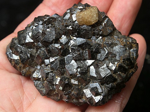 122 g NATURAL Romboide Andradita Granate Racimo y Espécimen Wolframín/China 1 - Imagen 6 de 10