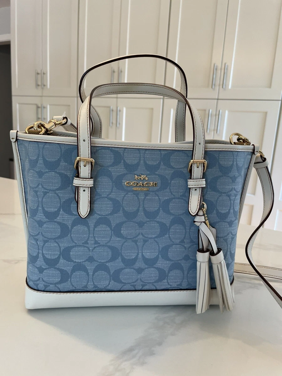 Coach Mollie Tote Bag Review! 