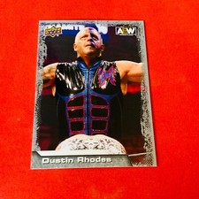 Dustin Rhodes .. 2022 Upper Deck AEW WRESTLING Base Card 46