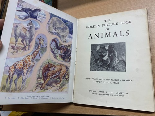 VINTAGE "THE GOLDEN PICTURE BOOK OF ANIMALS" ILLUSTRATED HARDBACK BOOK (P3) - Picture 3 of 12