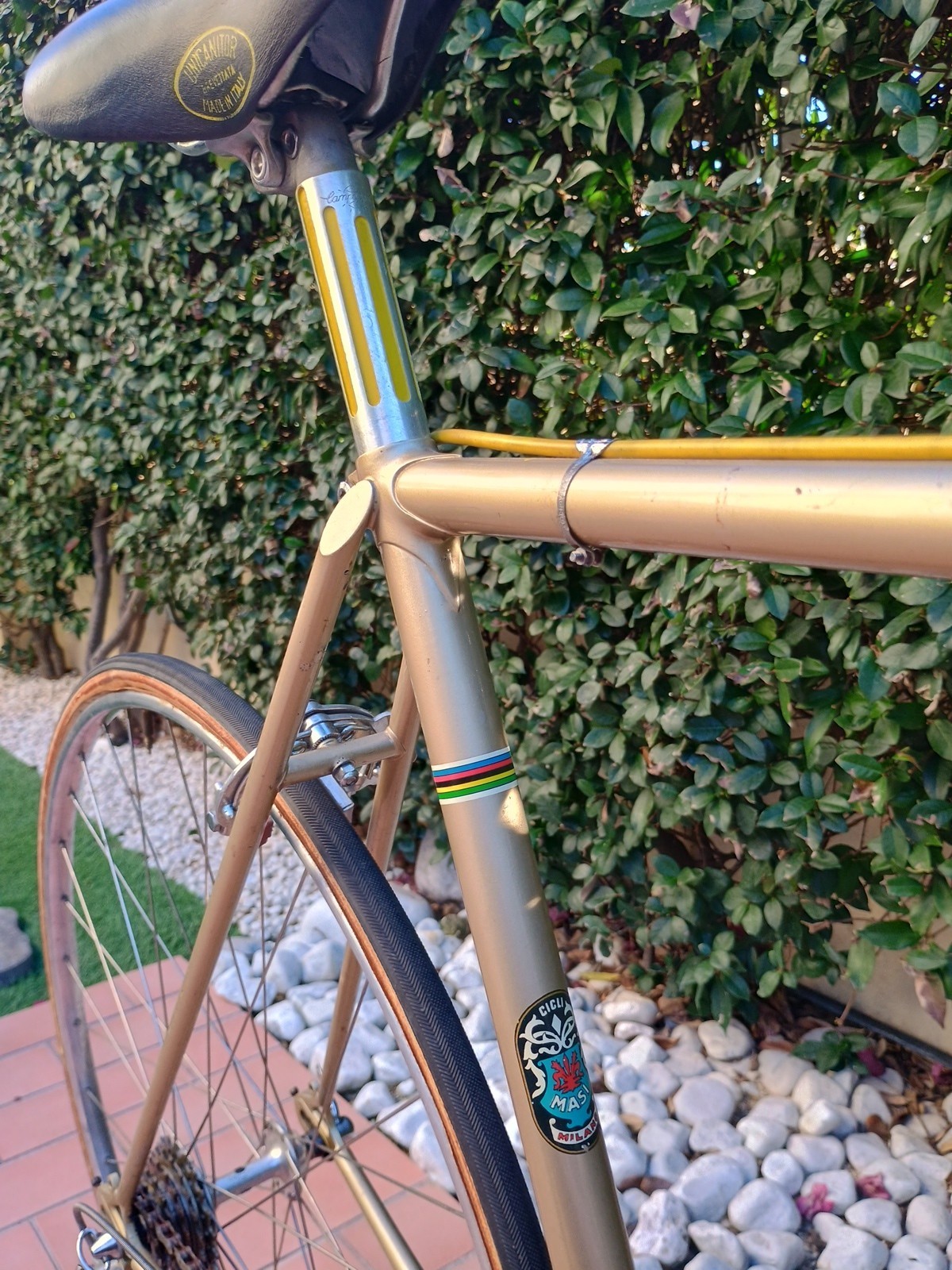 End Of 60s Vintage Masi Special Full Campagnolo record BCD 151 VVGC 54#55