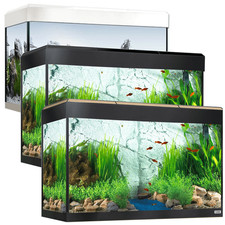 Fluval Roma 125 BT LED Aquarium White/Black/Oak Fish Tank