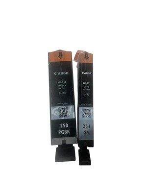 Canon PGI 250 Black CLI251 Gray Ink Cartridges For PIXMA MX722