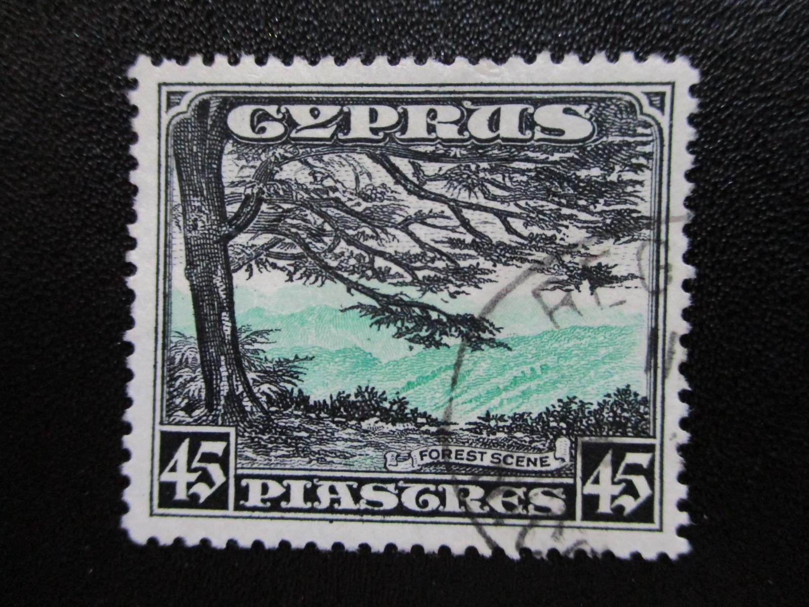 Cyprus #135 Used- WDWPhilatelic (J8S)  (1/26)2