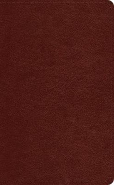 ESV Pocket Bible TruTone Chestnut by Esv Bibles PAPERBACK - Image 4