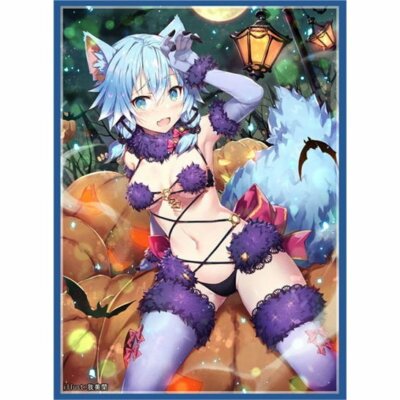 Sword Art Online SAO Shinon Shino Asada doujin Card Sleeve Protector