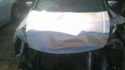 Bild 11 von 12