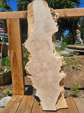 Premium Live Edge Maple Burl Slab 42x11.5x2.2...