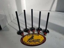 Yamaha Raptor 660 Kibblewhite Standard Size Stainless Valves Viton Valve Seals