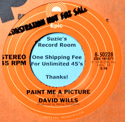 David Wills Paint Me a Picture #B NM Country 45 7'' Vinyl -Bulk Buy Coupons!