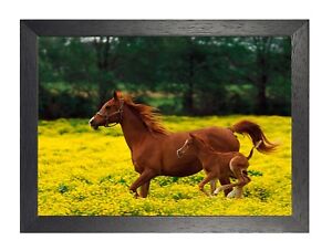 Horse 12 Animal Nuture Beautiful Picture Love Poster Brown  Photo Print