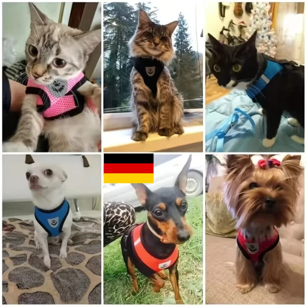 Hundegeschirr Katzengeschirr Brustgeschirr Set mit Leine gepolstert atmungsaktiv - Bild 2 von 4