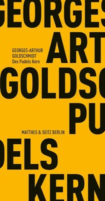 Georges-Arthur Go*dschmidt | Des Pudels Kern | Taschenbuch | Deutsch (2008)