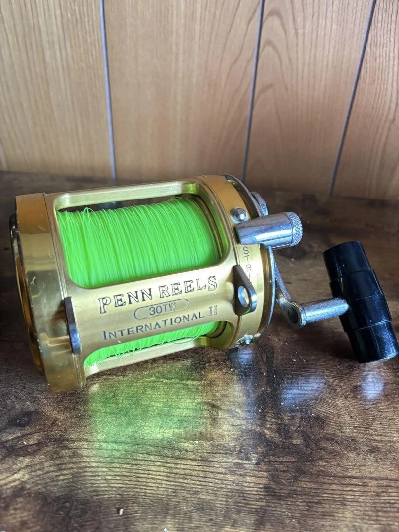 Penn International 30tw for sale | eBay