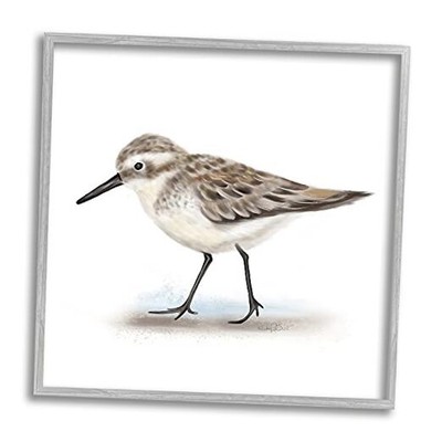  Nautical Sandpiper Bird on Sand Speckled Feathers, 12L'' x 1.5W'' Grey Framed
