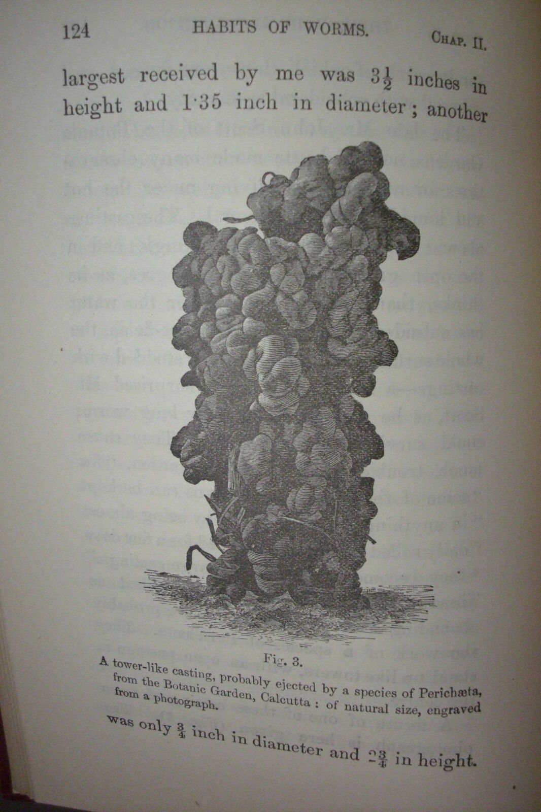 Picture 5 of 11