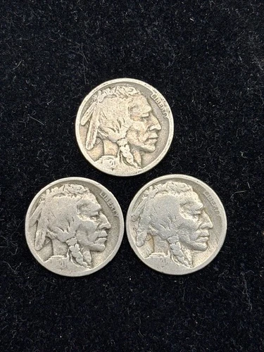 Set 1920-P, D, & S Buffalo Nickels -- INCLUDES BIG KEY DATE COINS!