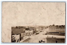 1910 Birds Eye View Drug Store Merchandise LeRoy MN RPPC Photo Posted Postcard