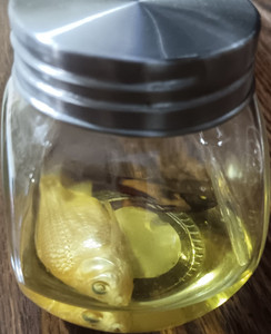 Fish Wet Specimen in Glass Jar Display Collectible Betta Goldfish